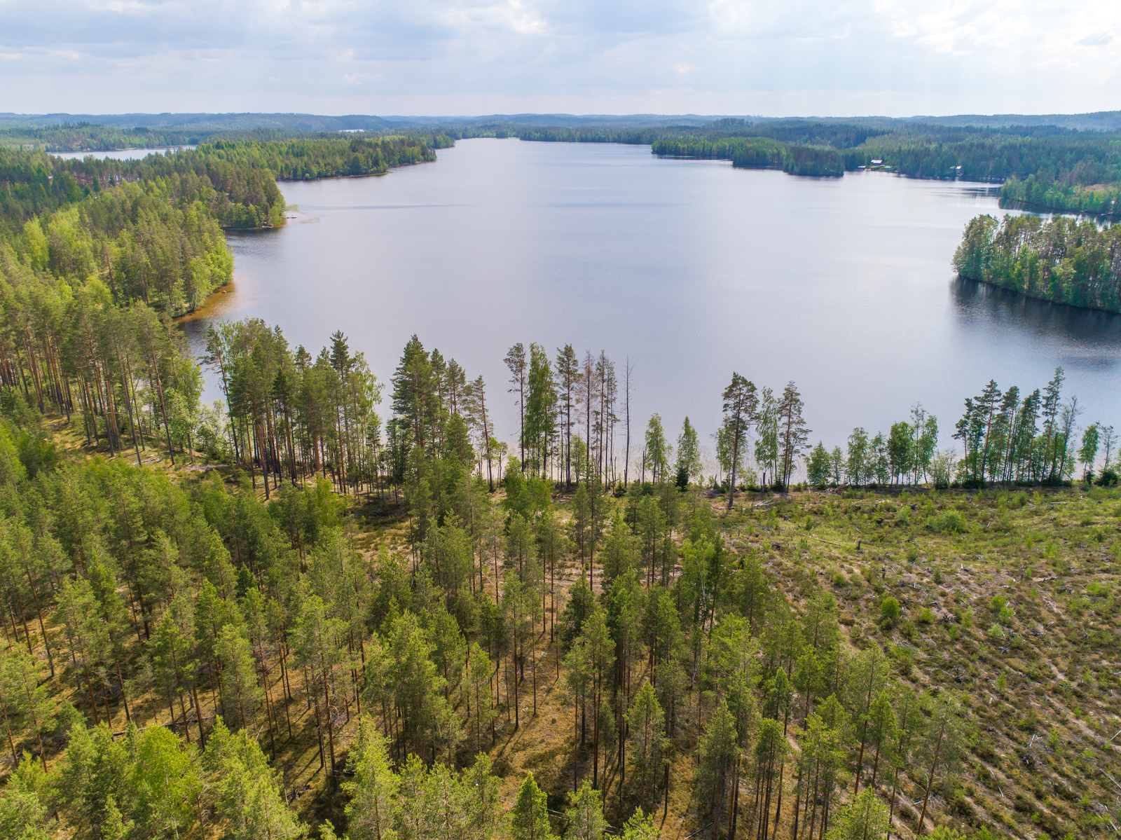 Puut reunustavat horisonttiin jatkuvaa järveä. Etualalla on metsä ja hakkuuaukea. Ilmakuva.