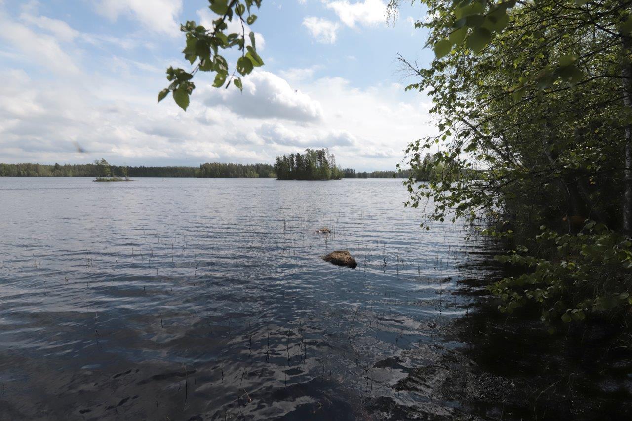 Rannassa kasvavien lehtipuiden vasemmalla puolella avautuu järvimaisema. Rantavedessä on kivi.