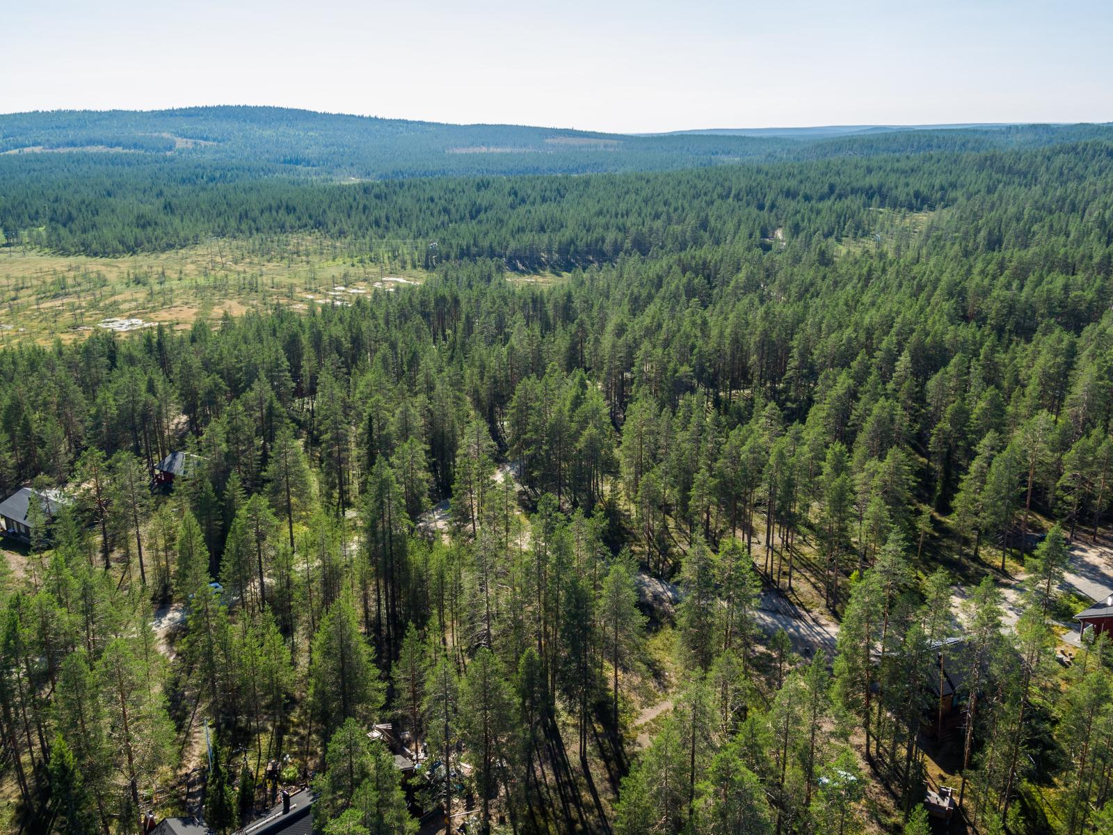 Mökkitie kulkee mäntymetsässä. Taka-alalla on suo ja horisontissa kohoaa vaaroja. Ilmakuva