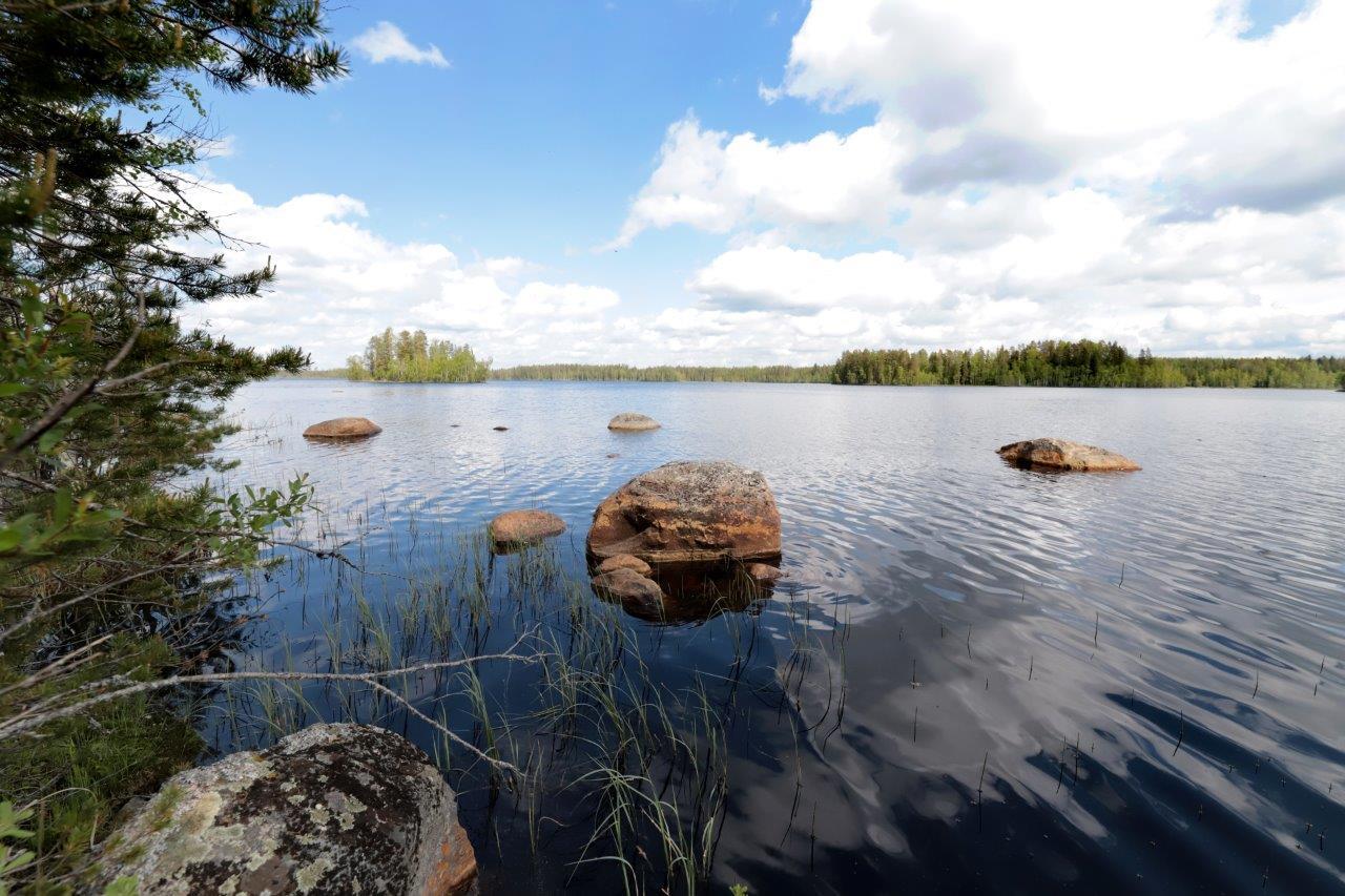 Puiden oksat reunustavat kesäistä järvimaisemaa. Rantavedessä on kiviä ja taivas heijastuu veteen.