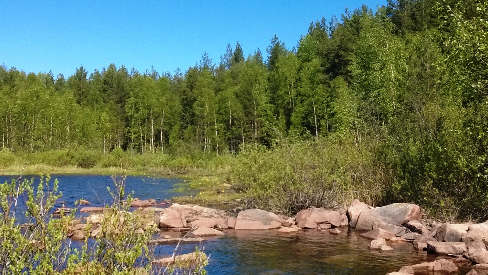 Kesämaisemassa järven kivisen rantaviivan tuntumassa kasvaa pajuja. Sekametsä reunustaa järveä.