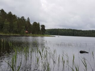 Järvimaisemassa etualalla on vesikasveja ja kivi rantavedessä. Vastarannalla on rakennus.