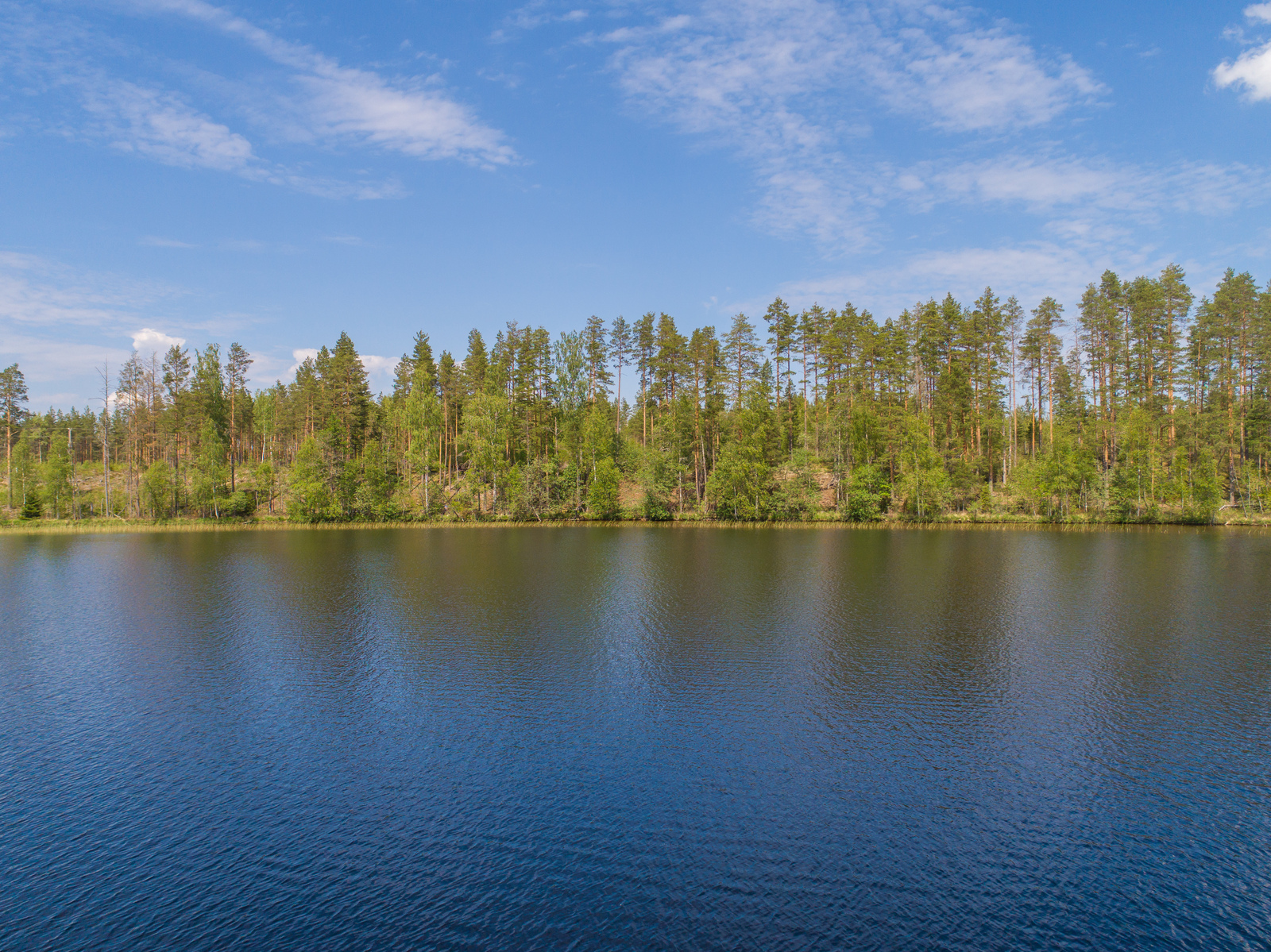 Kesäisessä järvimaisemassa vastarannalla kasvaa sekametsää. Taivas on lähes pilvetön.