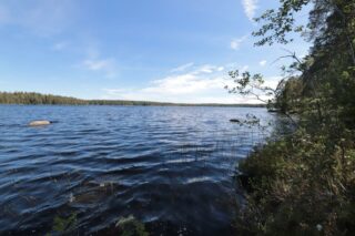 Sekametsä reunustaa kesäistä järvimaisemaa. Kaksi kiveä yltää veden pinnan yläpuolelle.