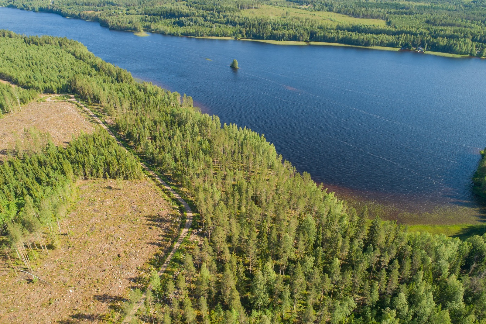 Laajat metsäalueet reunustavat järveä. Etualalla on hakkuuaukeita ja järvessä on saari. Ilmakuva.