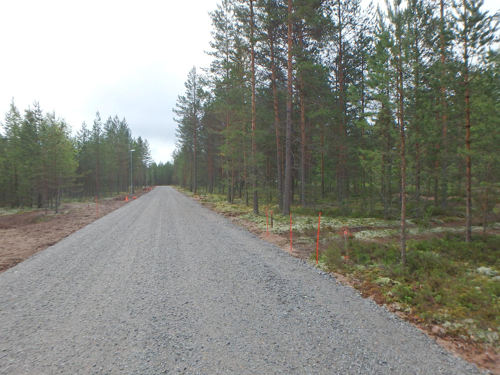 Mäntykankaan läpi kulkeva hiekkatie jatkuu suoraan horisonttiin. Tien reunassa on valotolppia.