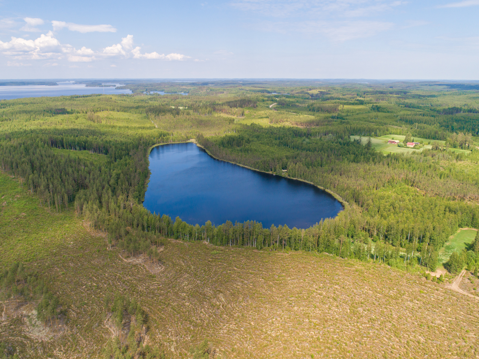 Metsä ympäröi järveä kesämaisemassa. Horisontissa on vesistöä ja etualalla hakkuuaukea. Ilmakuva.