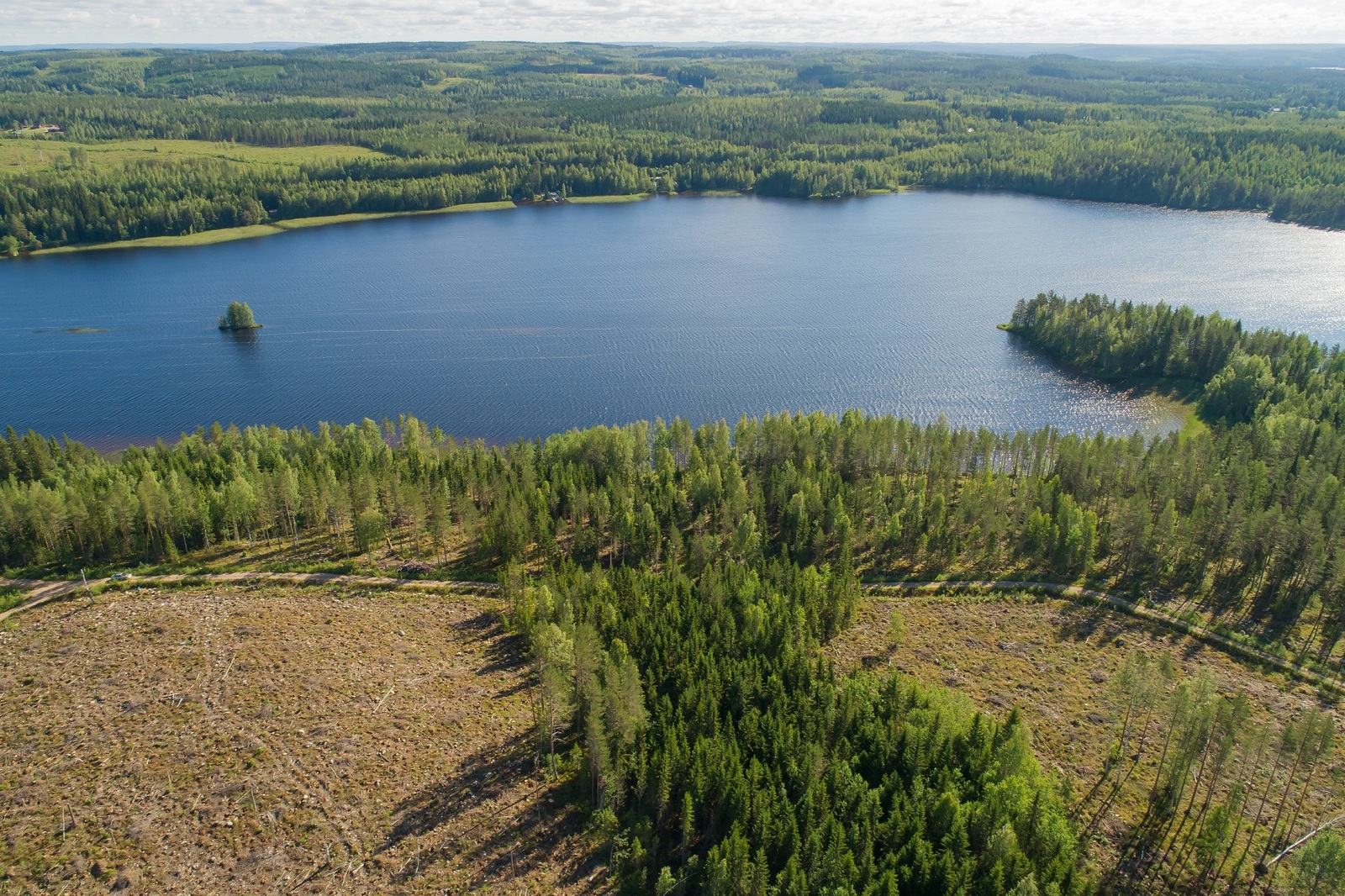 Laajat metsäalueet reunustavat järveä. Etualalla on hakkuuaukeita ja järvessä on saari. Ilmakuva.