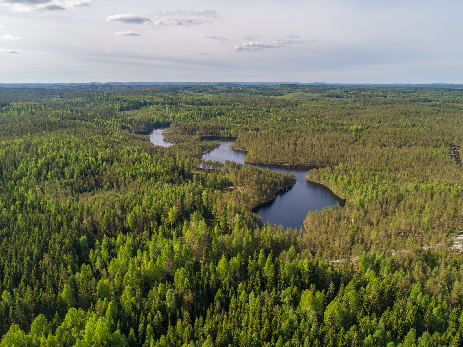 Kesämaisemassa laajojen metsäalueiden keskellä on mutkitteleva pitkulainen järvi. Ilmakuva.