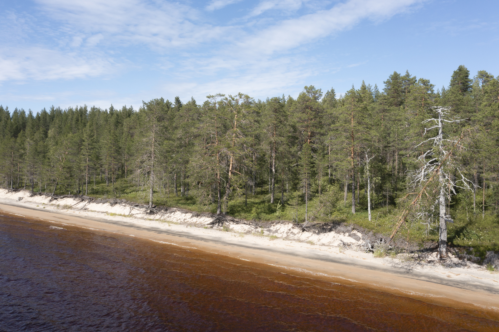 Kesäisessä järvimaisemassa hiekkarantaa reunustaa rantatörmällä kasvava mäntymetsä. Ilmakuva.