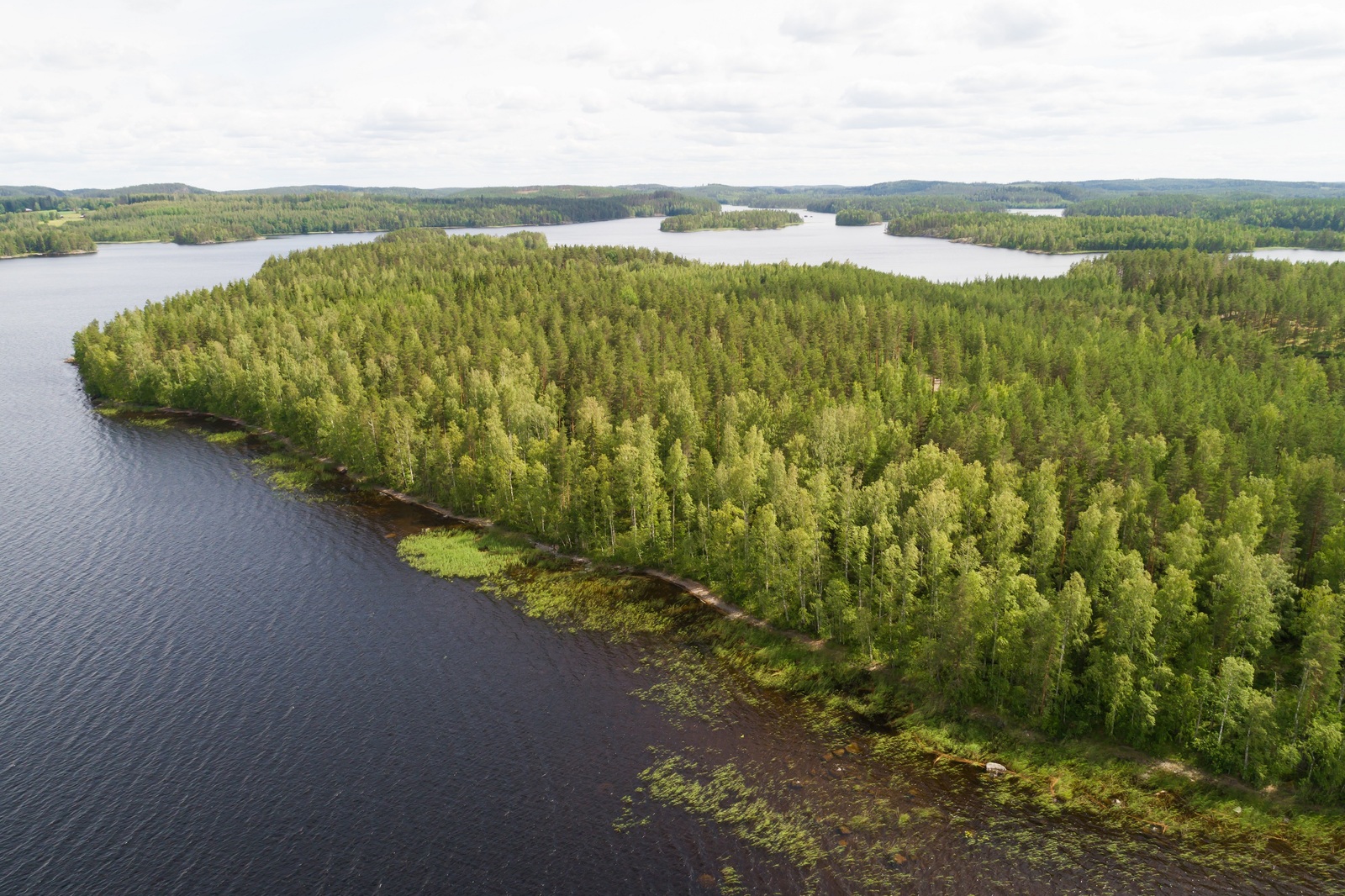 Kesämaisemassa on laaja metsäinen niemi sokkeloisen järven keskellä. Ilmakuva.