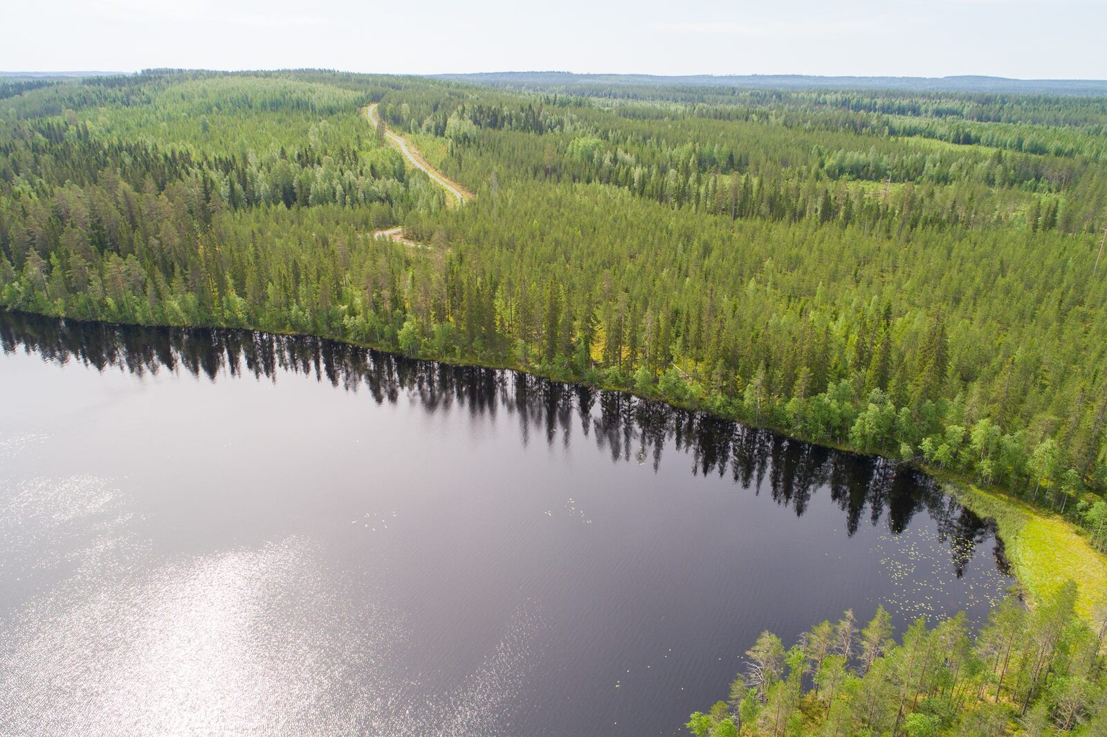 Etualan järveä reunustava kesäinen metsä jatkuu horisonttiin. Tie kulkee kohti rantaa. Ilmakuva.