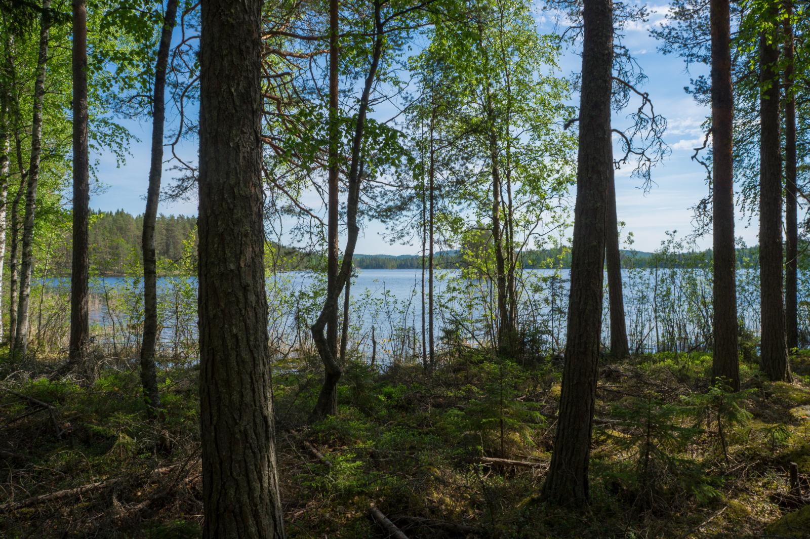 Tontilta näkymä vesistölle