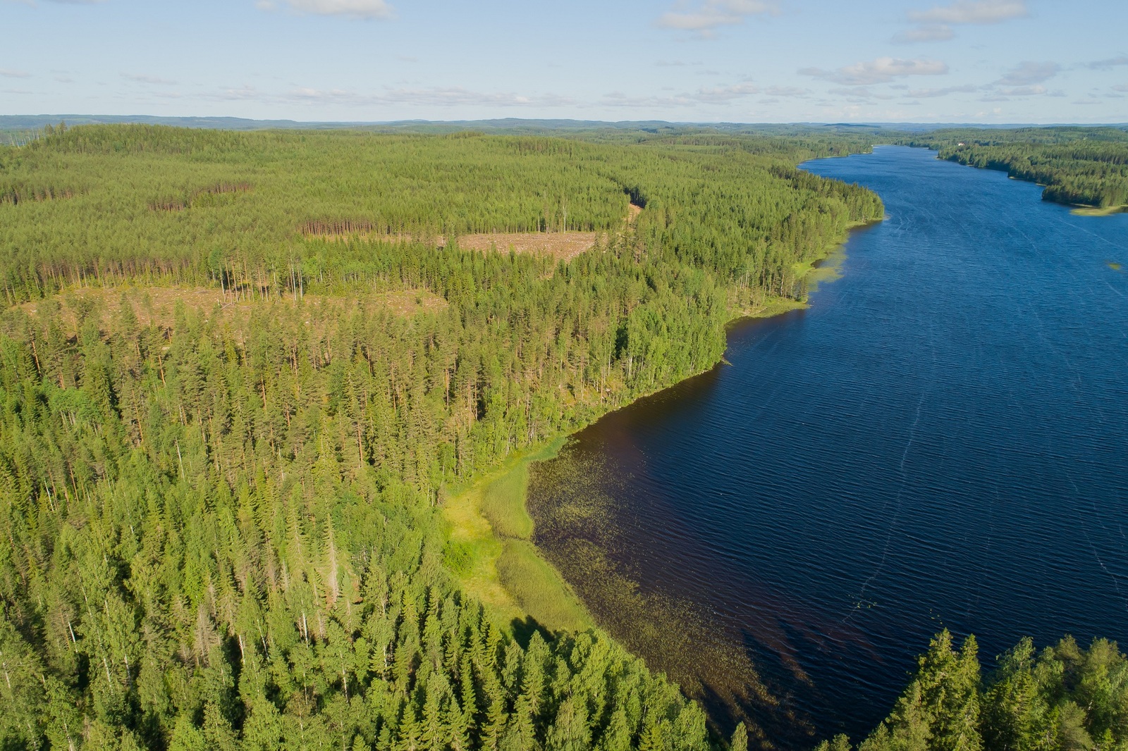 Kesämaisemassa horisonttiin jatkuvat metsäalueet reunustavat järveä. Ilmakuva.