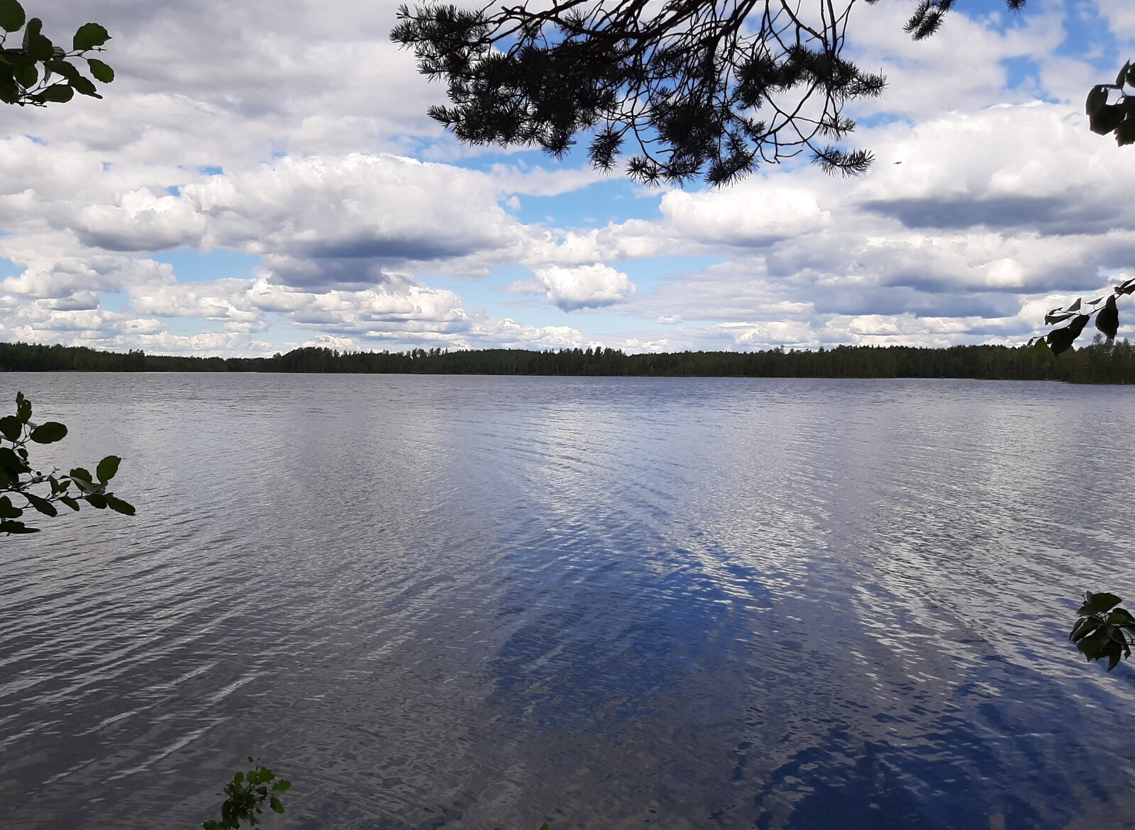 Puiden oksat reunustavat kesäistä järvimaisemaa. Puolipilvinen taivas heijastuu veteen.