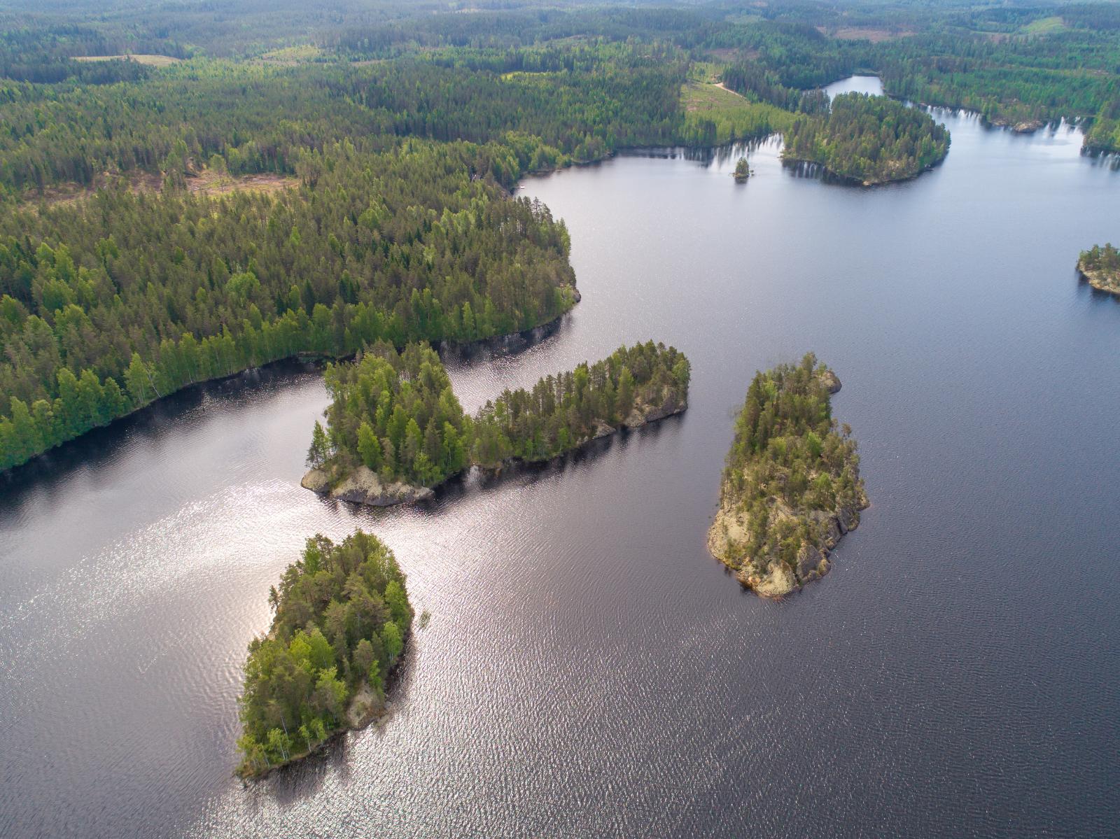 Metsät reunustavat sokkeloista järveä, jossa on saaria. Vesi kimmeltää auringonvalossa. Ilmakuva.