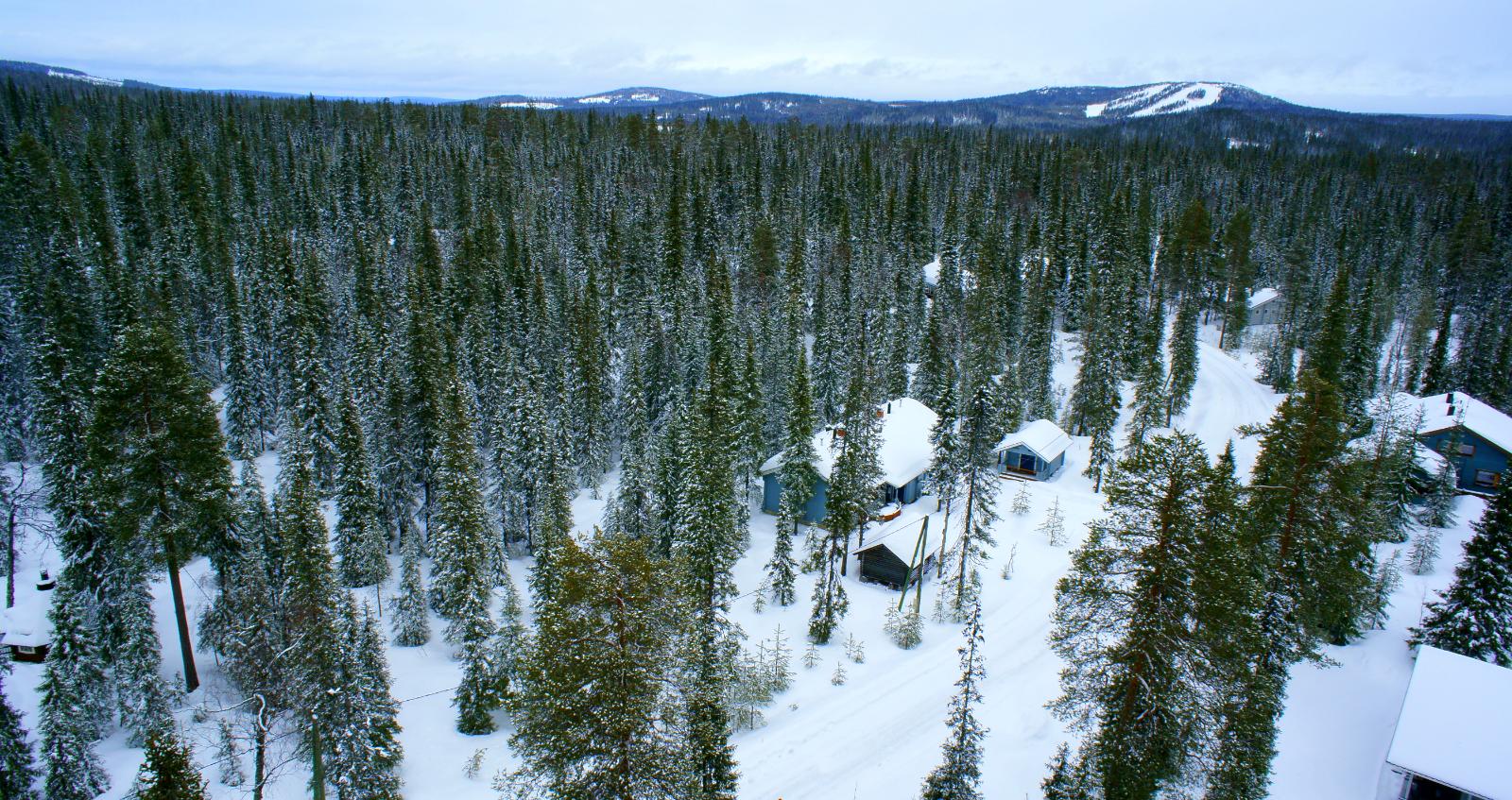 Talvisessa metsässä kulkevan tien varrella on mökkejä. Taustalla kohoaa Pikku-Syöte. Ilmakuva.