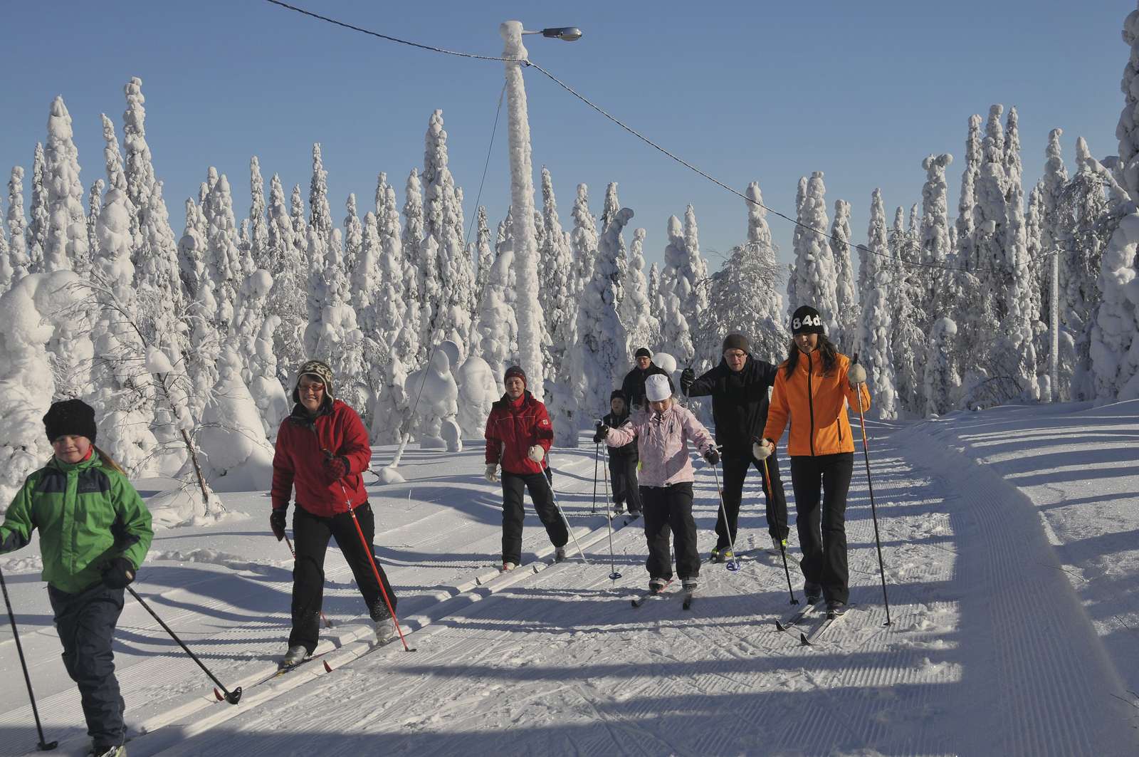 Hymyileviä lapsia ja aikuisia hiihtämässä tykkylumisessa metsässä kulkevalla ladulla.