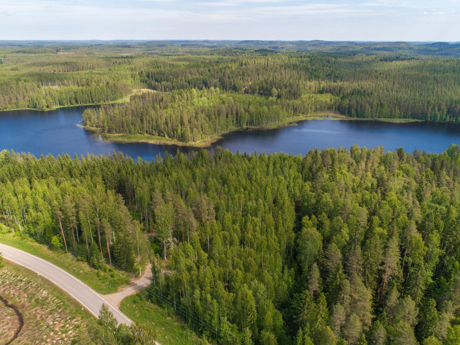 Kesäinen metsä reunustaa pitkulaista järveä molemmin puolin. Etualan metsässä kulkee tie. Ilmakuva.