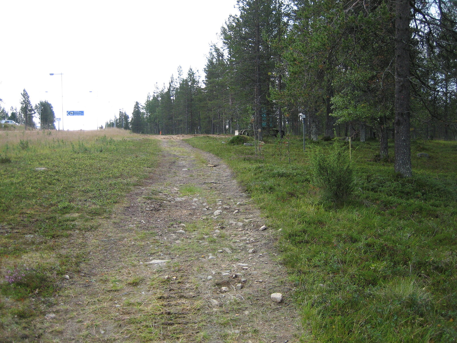 Kivinen tienpohja kulkee kesäisen mäntymetsän ohi. Taka-alalla on tieopasteita.
