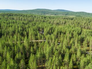 Mökkitie kulkee aurinkoisessa mäntymetsässä. Horisontissa kohoaa vaaramaisema. Ilmakuva.