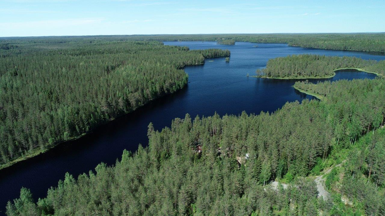 Kesäisessä maisemassa laajat metsäalueet ympäröivät pitkulaista järveä. Etualalla mökki. Ilmakuva.