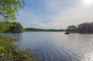 Vasemman laidan lehtipuut reunustavat kesäistä järvimaisemaa. Lähellä vastarantaa on suuri kivi.