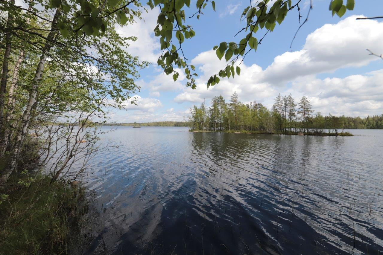 Puut reunustavat kesäistä järvimaisemaa. Puolipilvinen taivas heijastuu veteen ja järvessä on saari.