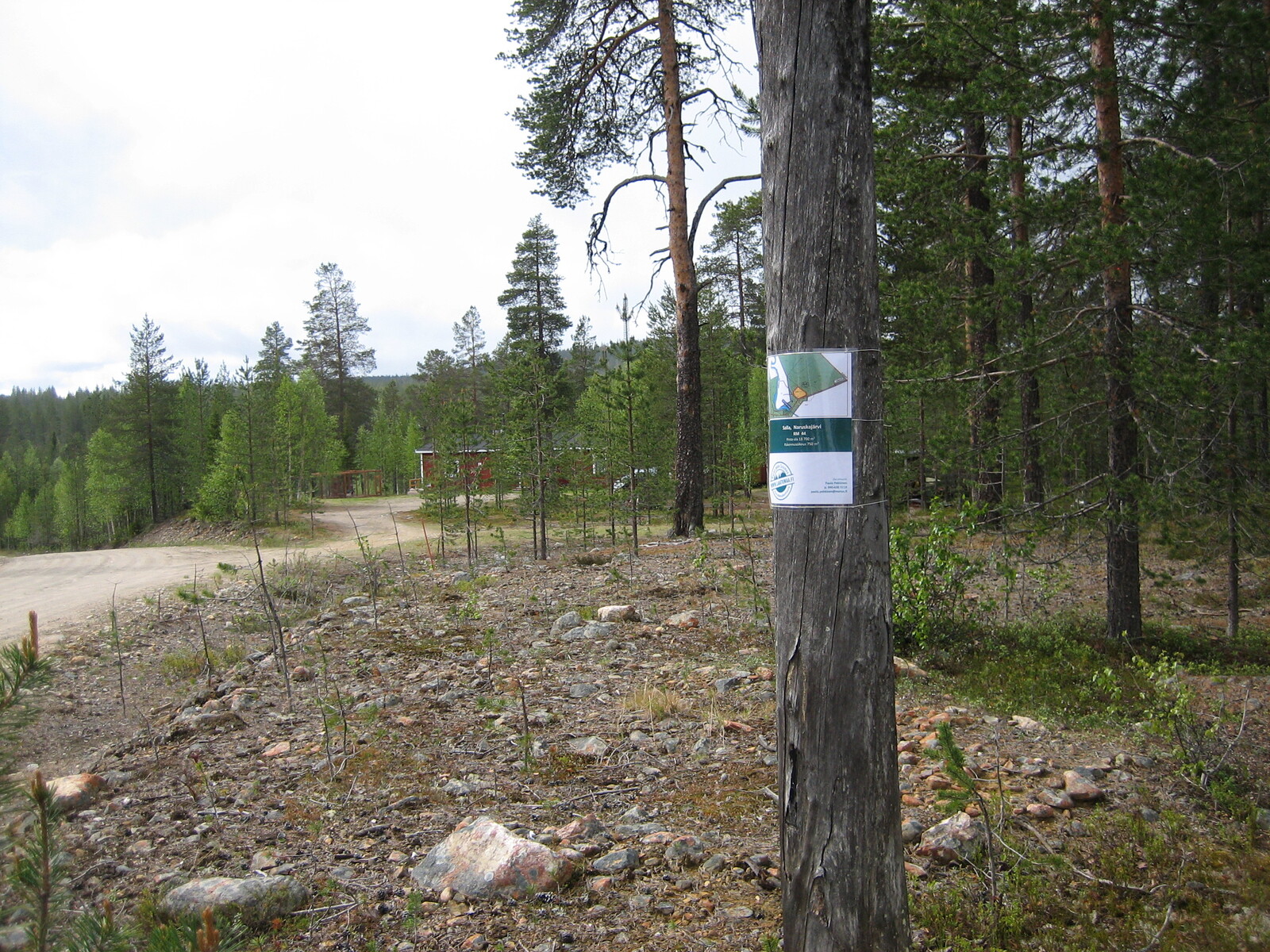 Hiekkatien varressa olevassa puussa on Laatumaan tonttikyltti. Taka-alalla on rakennus.