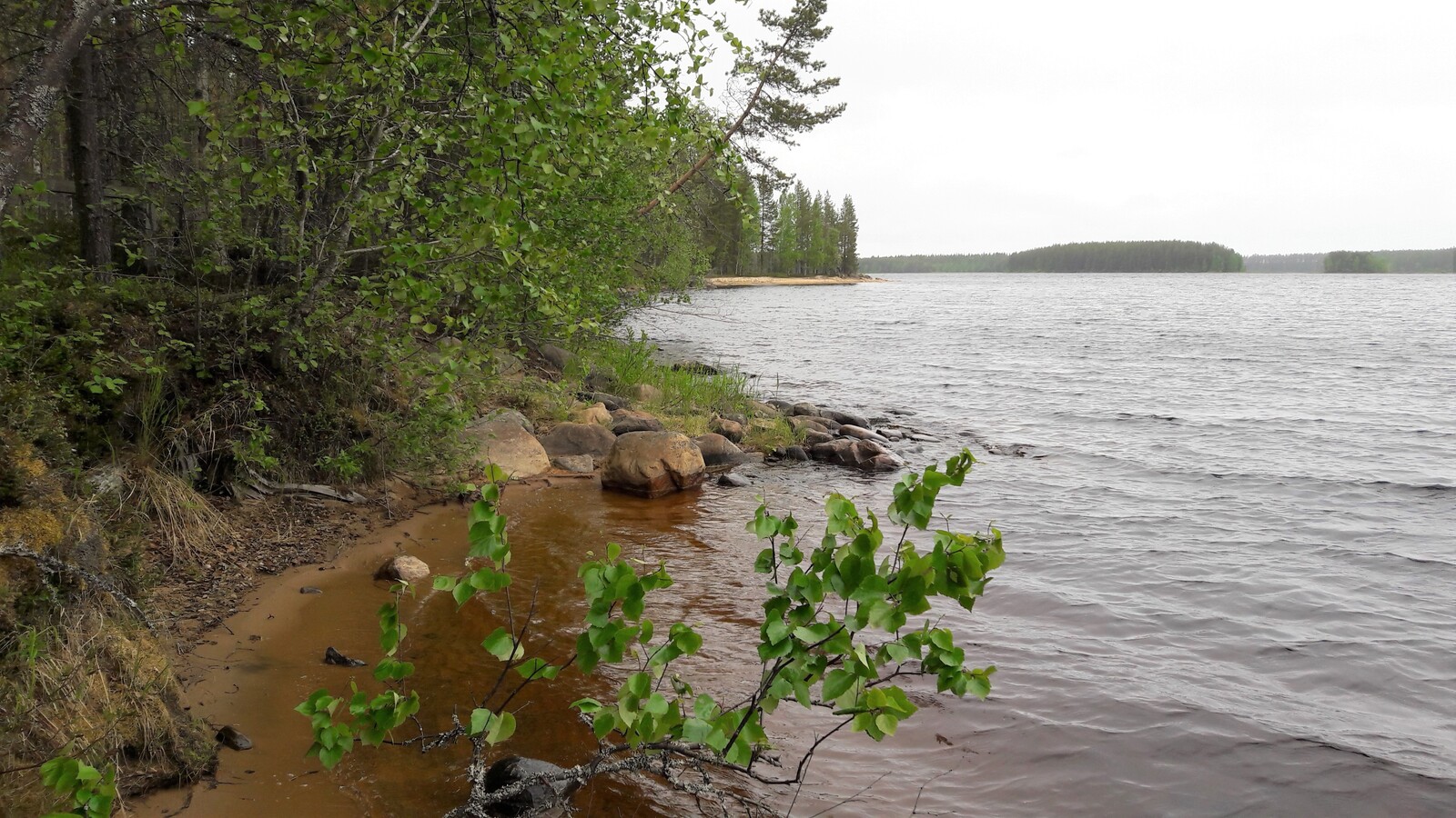 Kesäinen sekametsä reunustaa järveä oikealle kaartuvassa rantaviivassa. Etualalla on hiekkaranta.