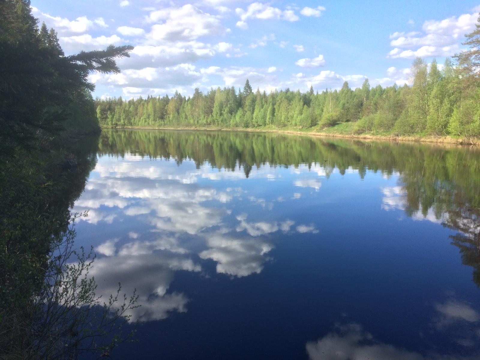 Jokea reunustavat metsät ja puolipilvinen taivas heijastuvat joen tyyneen pintaan.