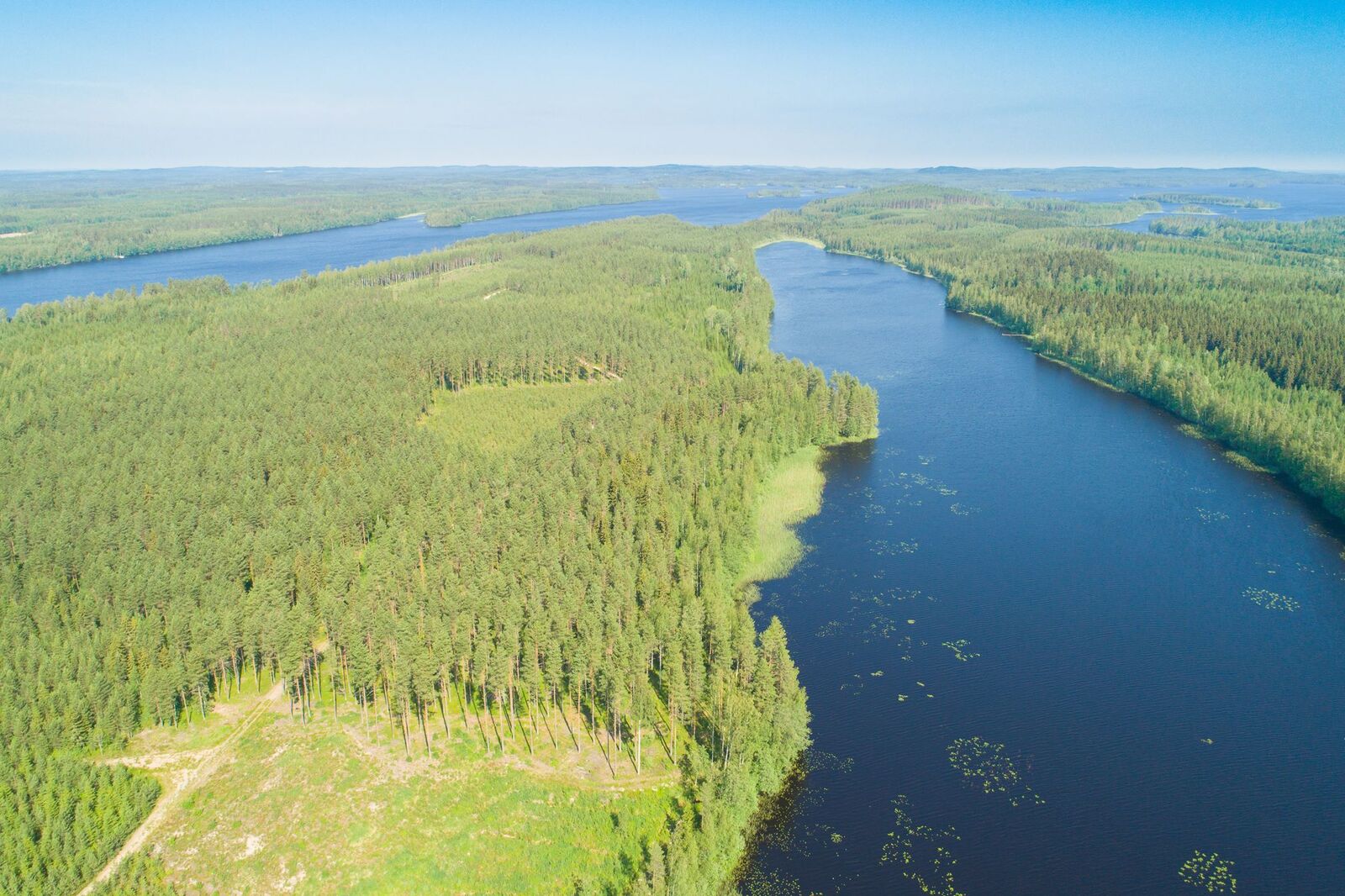 Ilmakuvassa näkyy vasemmalla puolella metsäalue, oikealla puolellä järvi