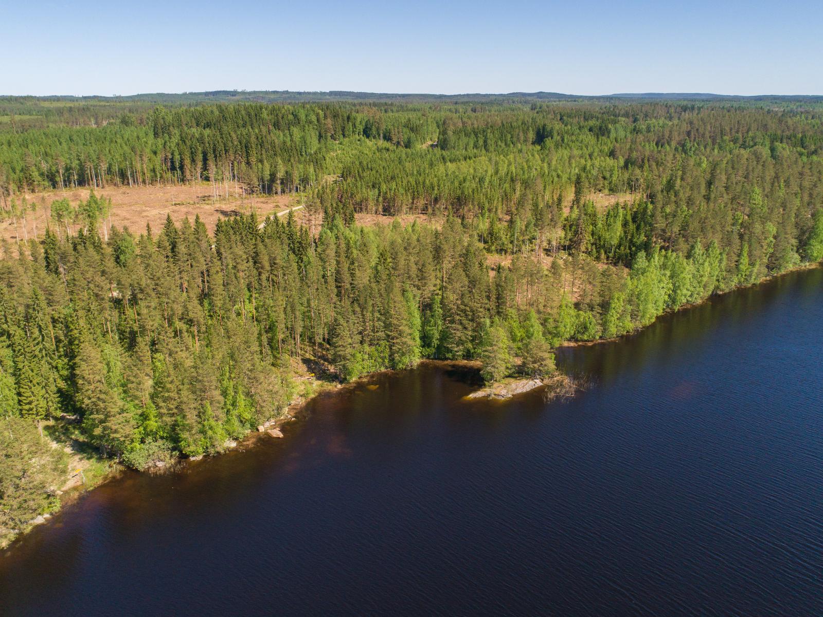 Kesämaisemassa järveä reunustaa sekametsä. Taustalla on hakkuuaukea. Ilmakuva.