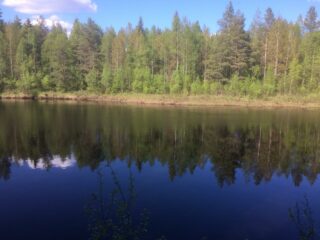 Vastarannan metsä ja lähes pilvetön taivas heijastuvat joen tyyneen pintaan.