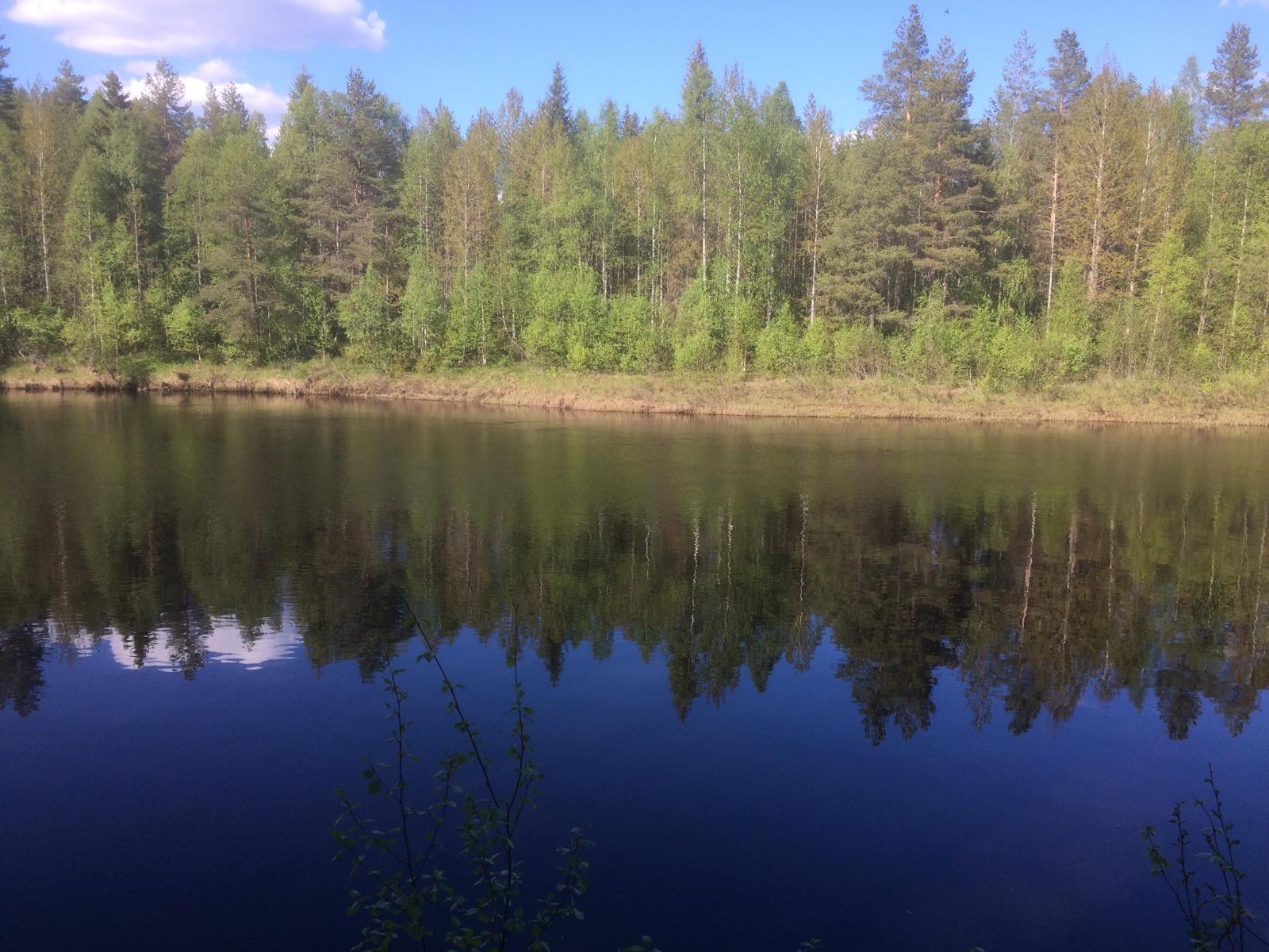 Vastarannan metsä ja lähes pilvetön taivas heijastuvat joen tyyneen pintaan.