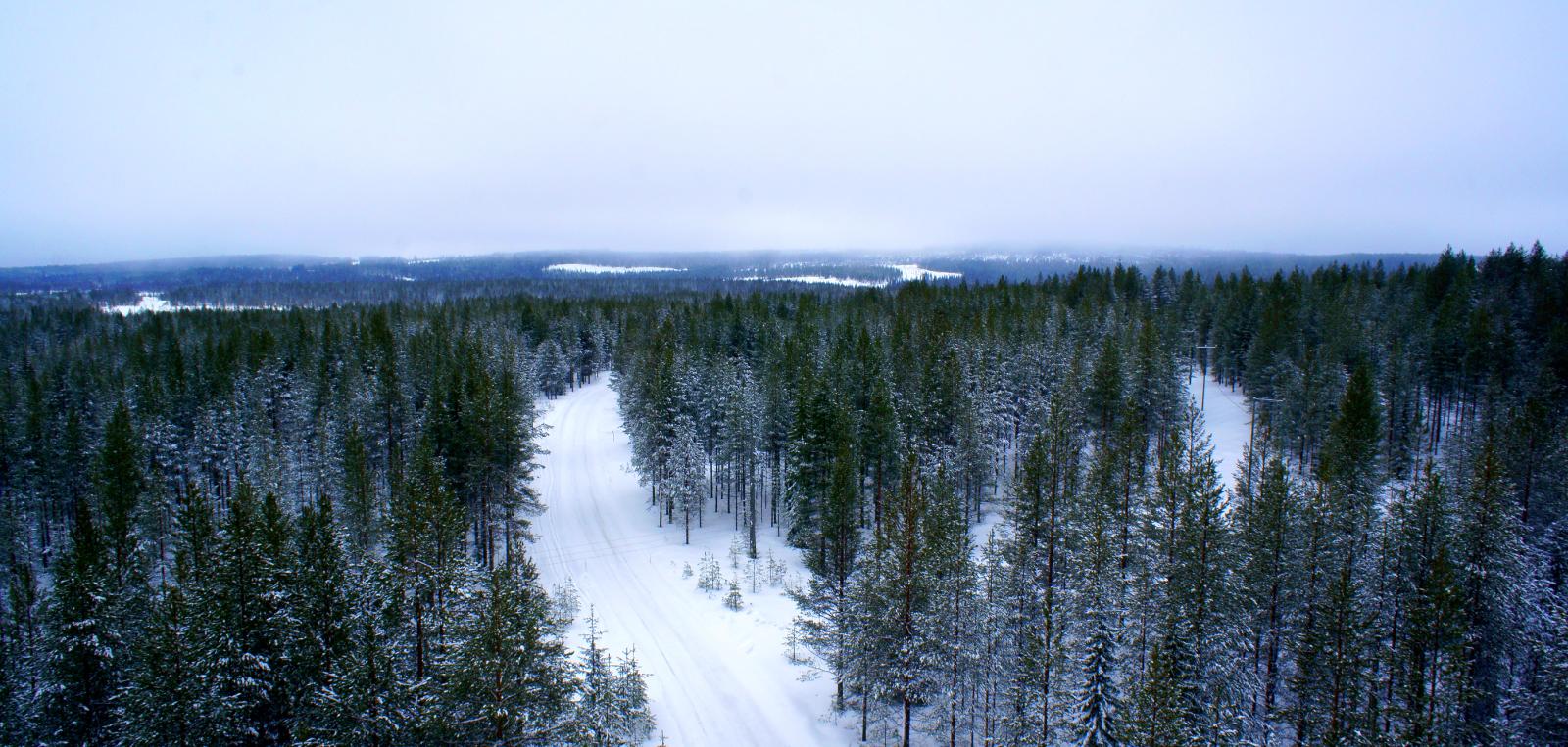 Aurattu tie kulkee lumipeitteisessä havumetsässä. Ilmakuva.