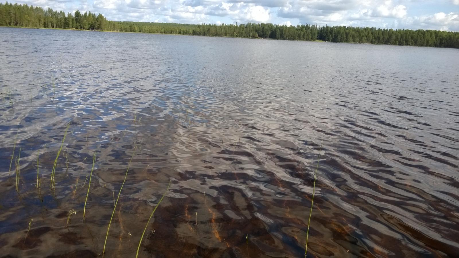 Tontilta avautuu maisema kirkasvetiselle järvelle. Vastarannalla on metsää.