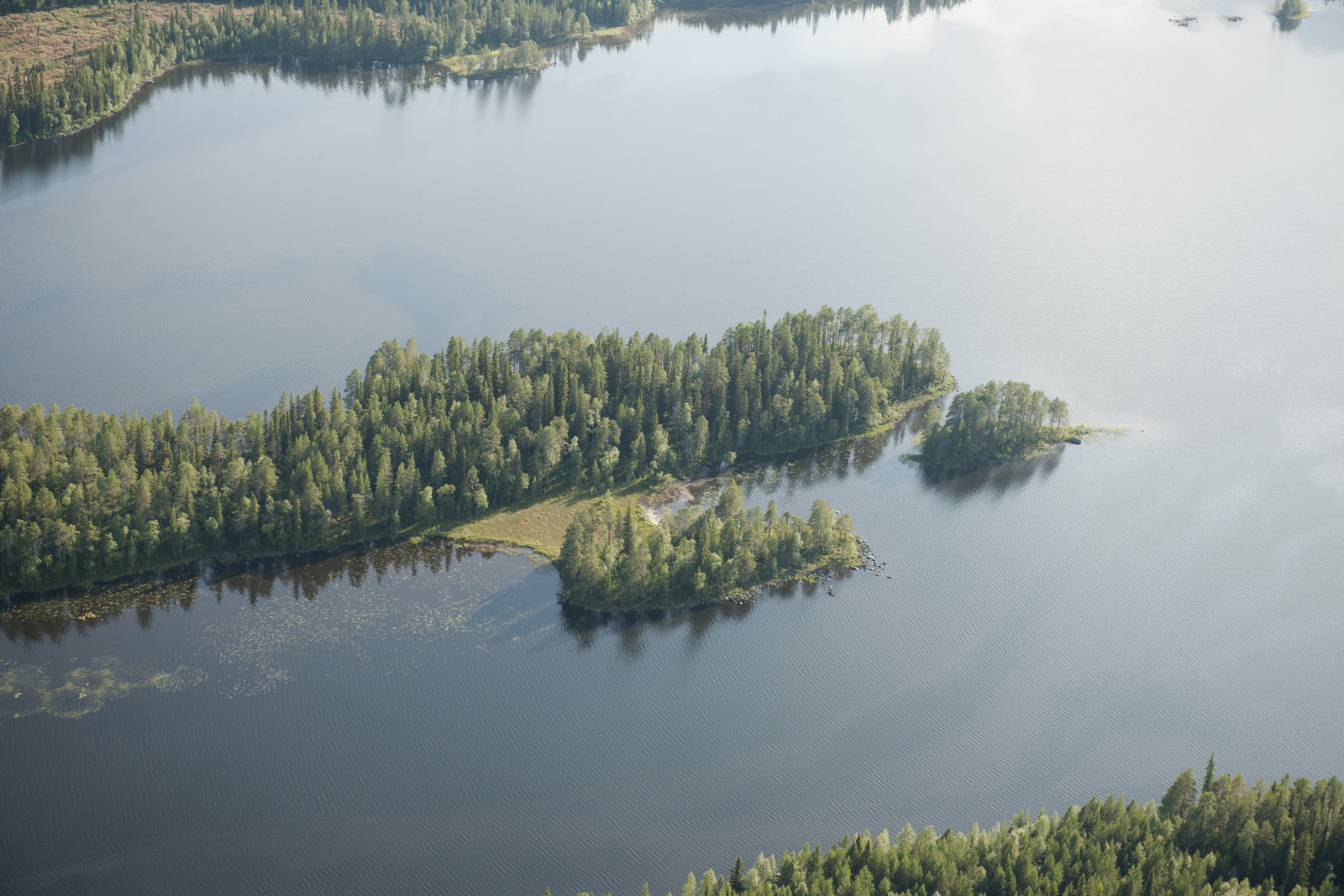 Kesämaisemassa pitkä, metsäinen niemi ulottuu pitkälle kohti järvenselkää. Ilmakuva.