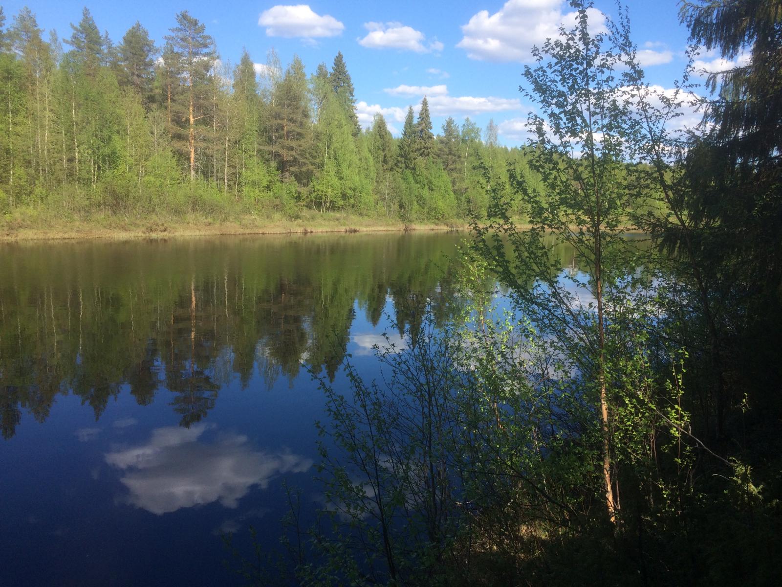 Vastarannan metsä ja lähes pilvetön taivas heijastuvat joen tyyneen pintaan. Etualalla lehtipuita.