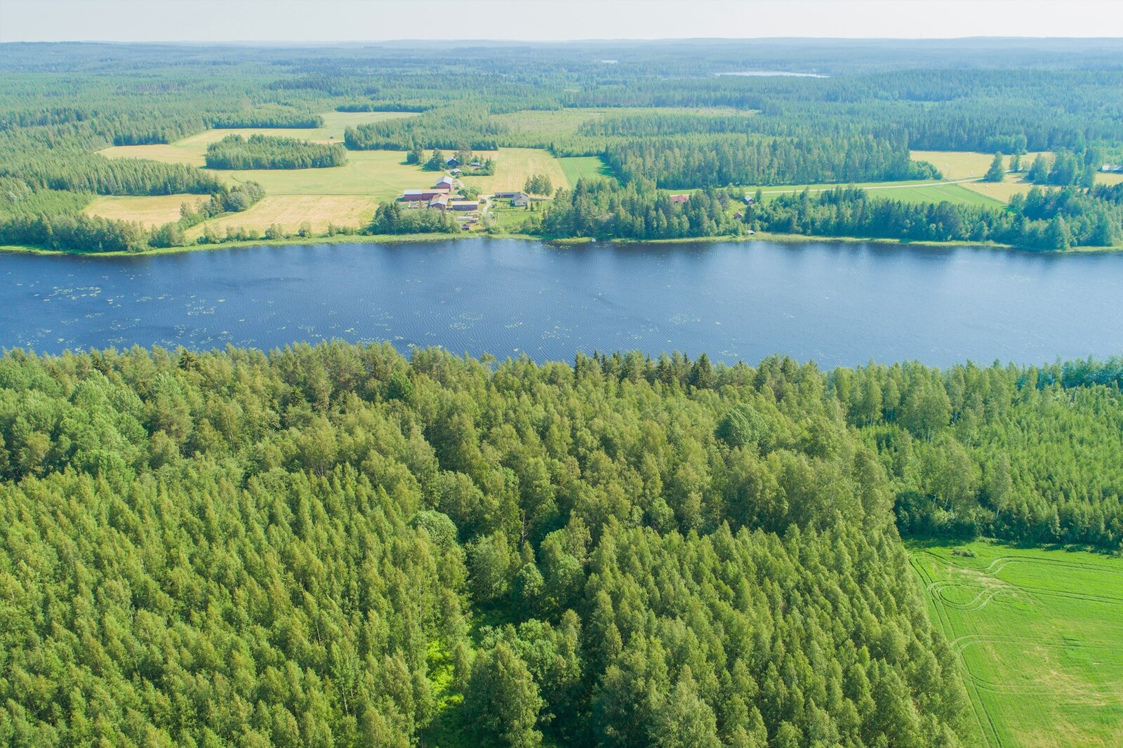 Ilmakuvassa etualalle metsää, taustalla järvi