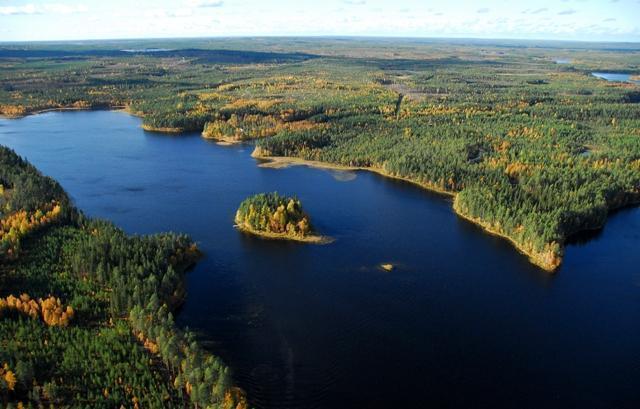 Järveä reunustaa laaja horisonttiin jatkuva syksyinen metsä. Järvenselällä on saari. Ilmakuva.