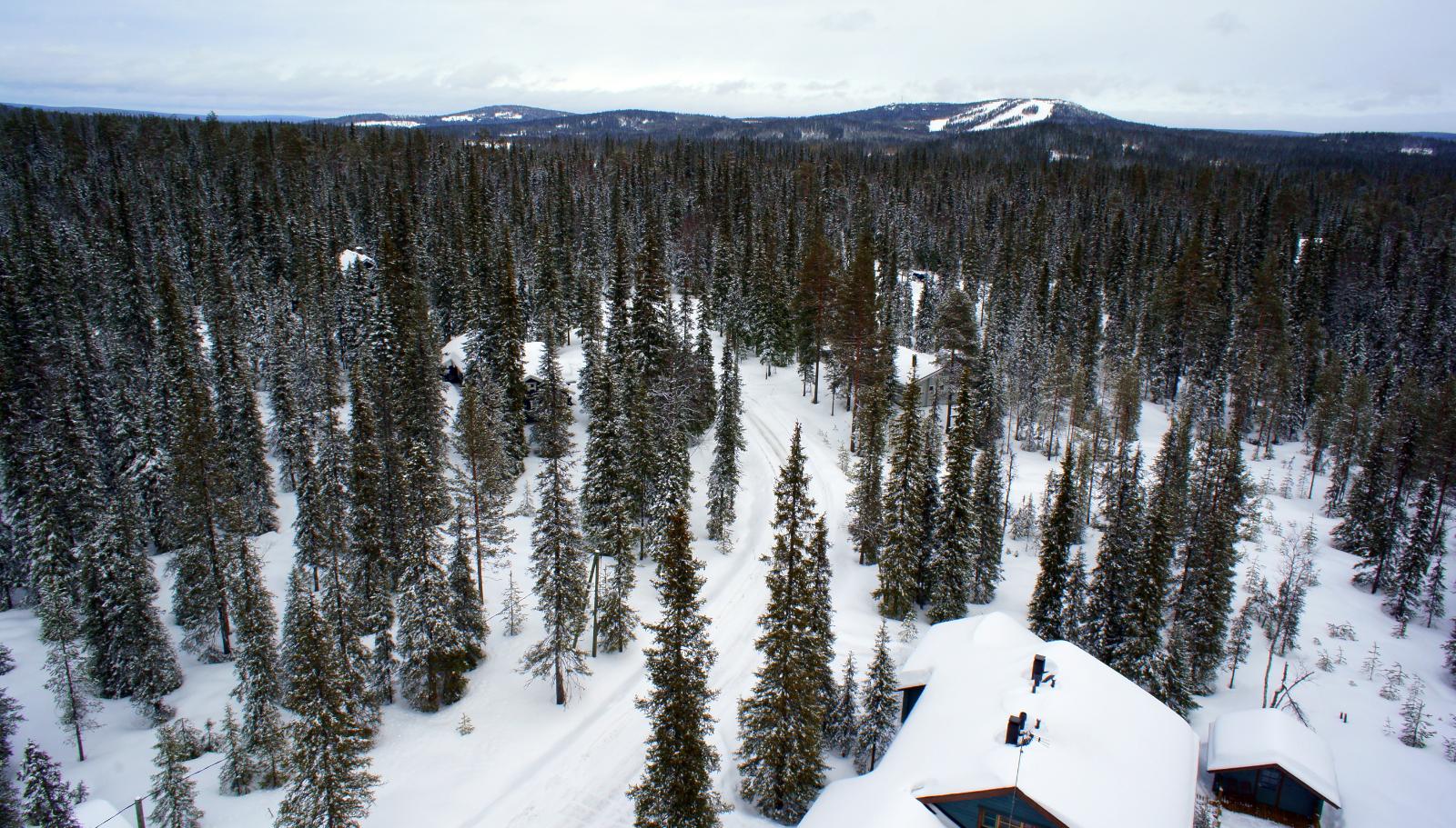 Talvisessa metsässä kulkevan tien varrella on mökkejä. Taustalla kohoaa Pikku-Syöte. Ilmakuva.