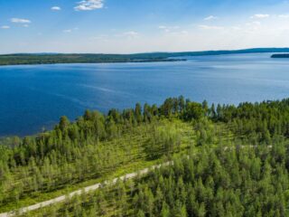 Kesämaisemassa metsät reunustavat järveä. Etualan metsässä kulkee tie. Ilmakuva.