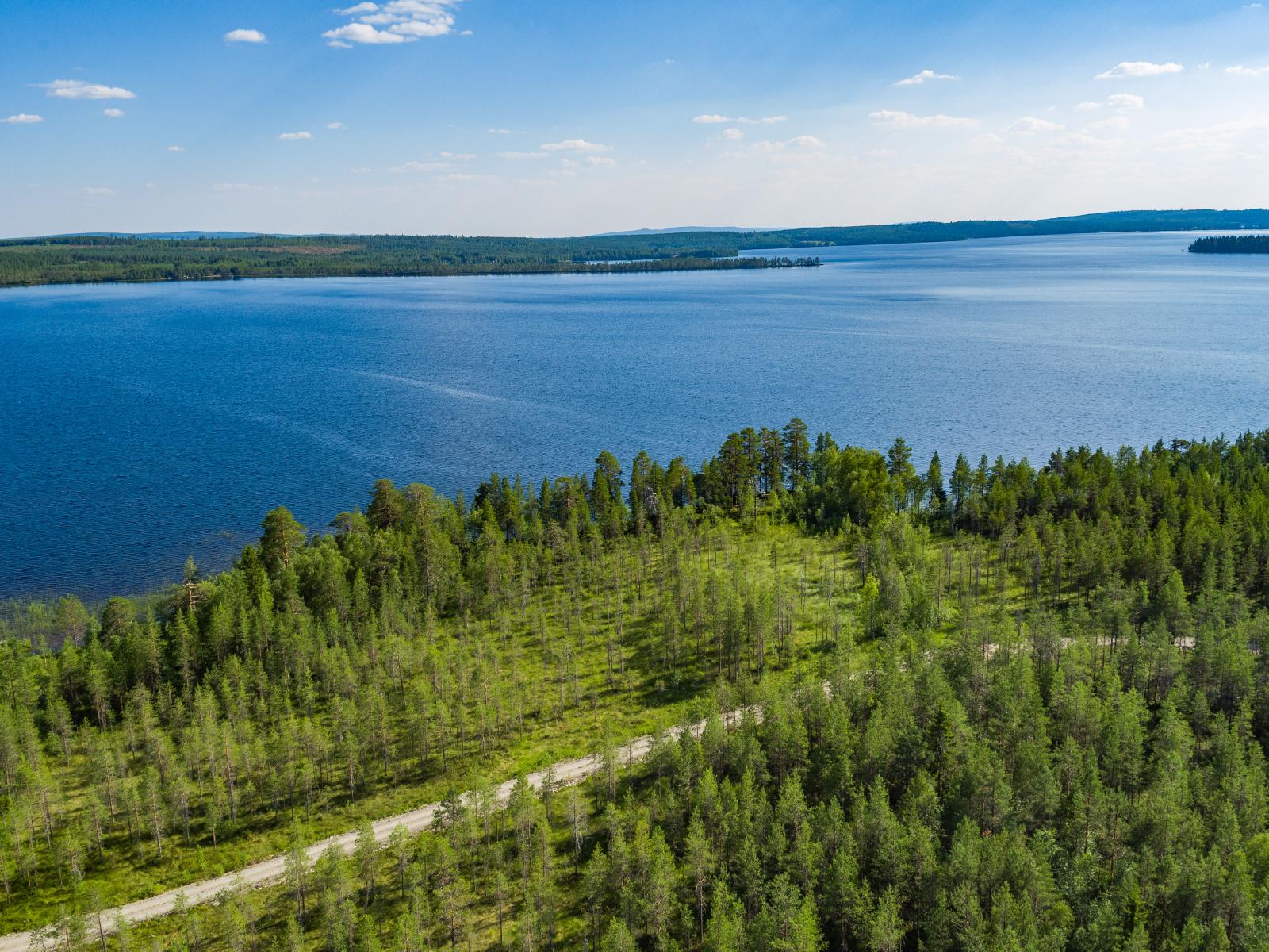 Kesämaisemassa metsät reunustavat järveä. Etualan metsässä kulkee tie. Ilmakuva.