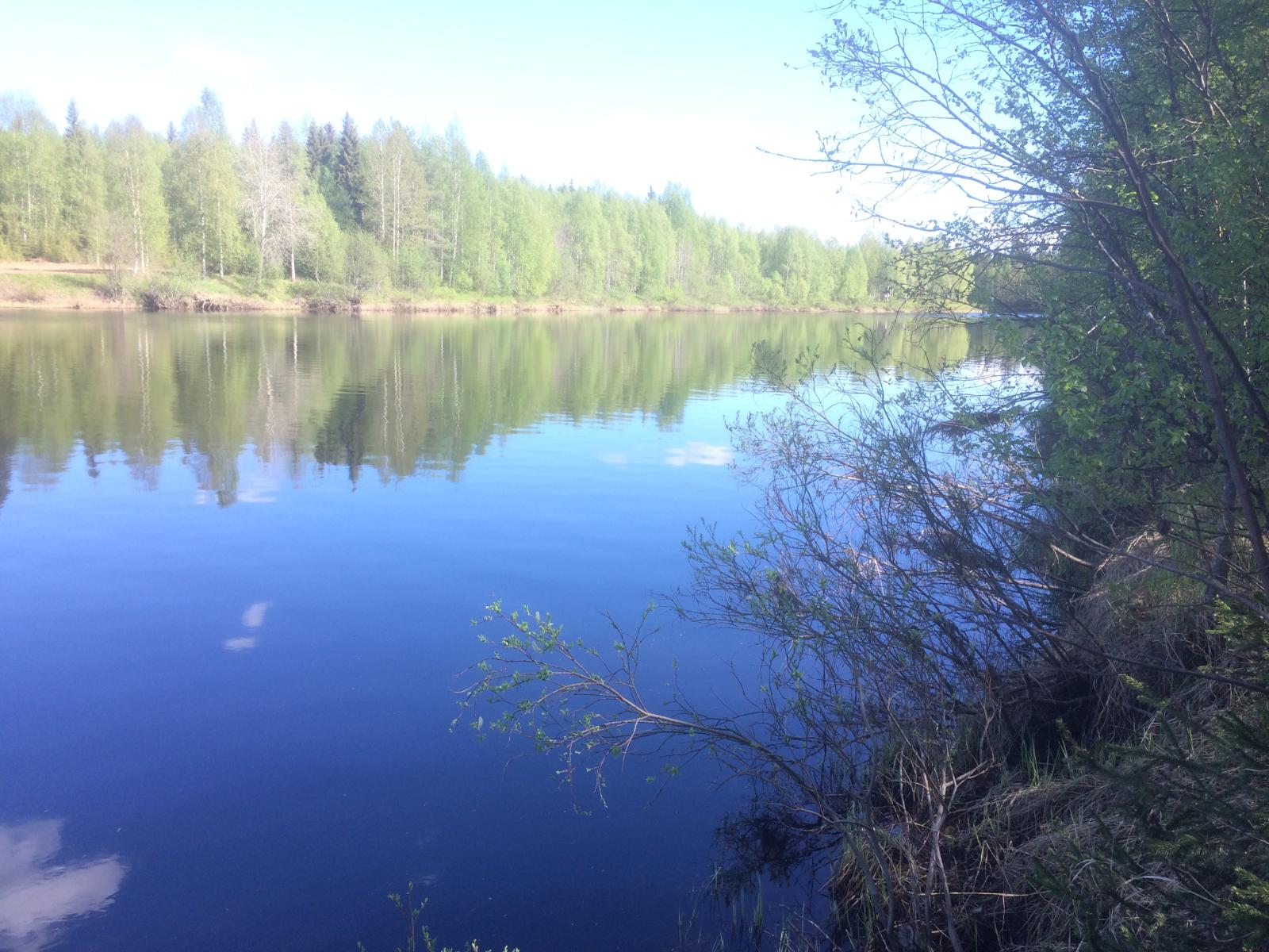 Vastarannan metsä ja lähes pilvetön taivas heijastuvat joen tyyneen pintaan. Etualalla pajukkoa.