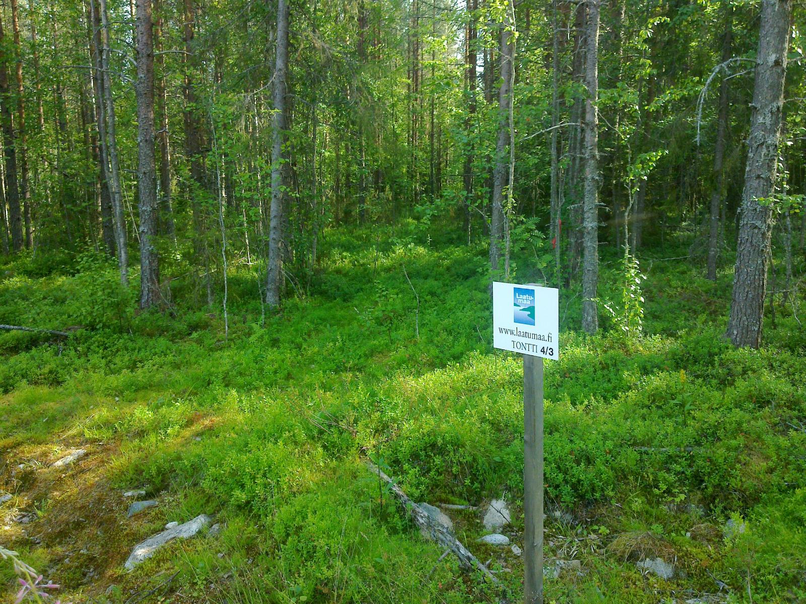 Tontin takarajalla sekametsän edustalla on Laatumaan tonttikyltti ja tienreuna.