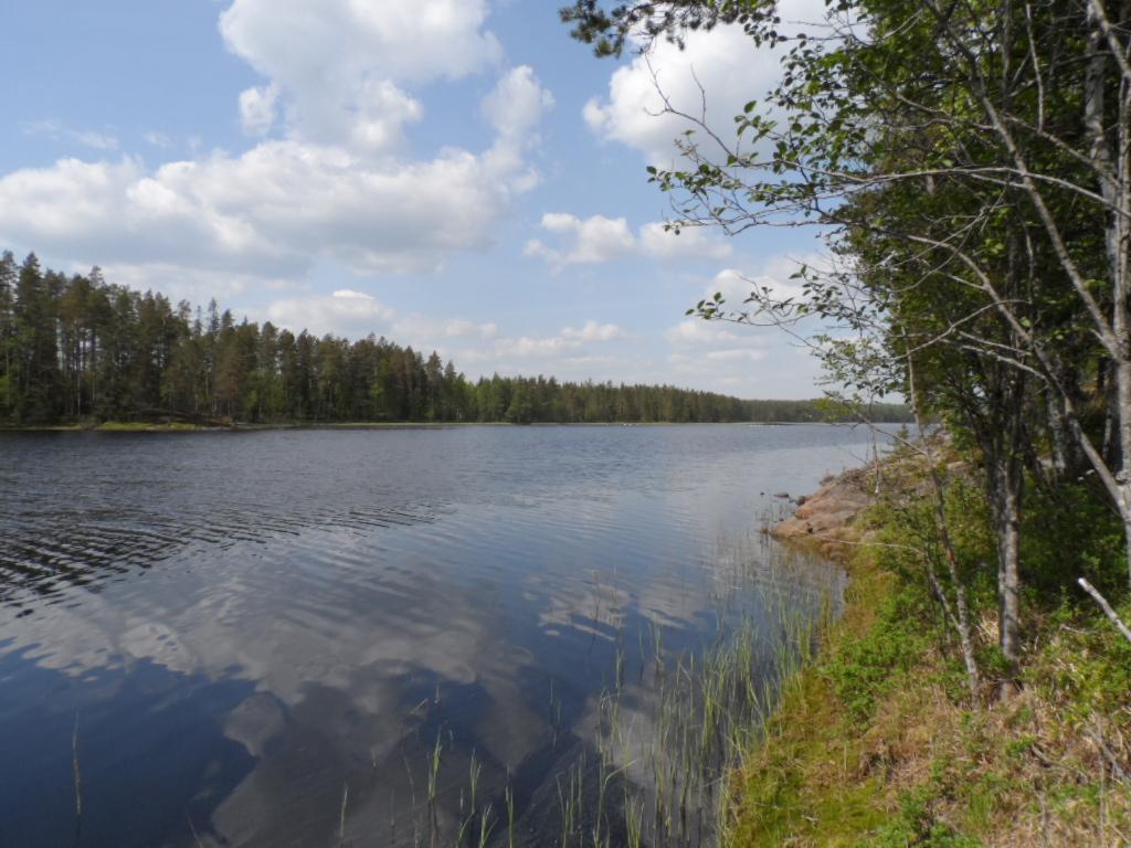 Oikealla kesäinen sekametsä reunustaa järveä. Puolipilvinen taivas heijastuu veteen.