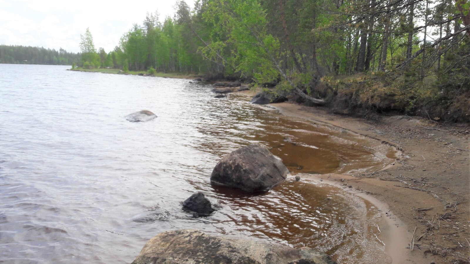 Kesäinen sekametsä reunustaa järveä. Oikealla on hiekkaranta ja muutama kivi rantavedessä.