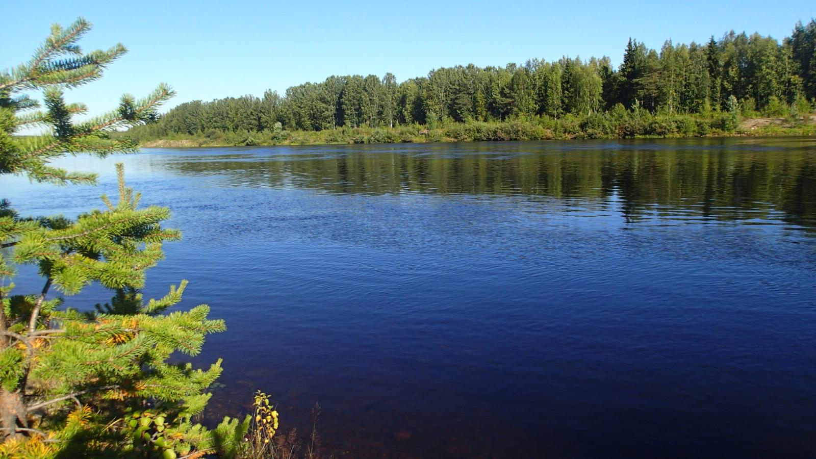 Joki virtaa metsien halki pilvettömänä päivänä. Vastarannan puut heijastuvat joen pintaan.