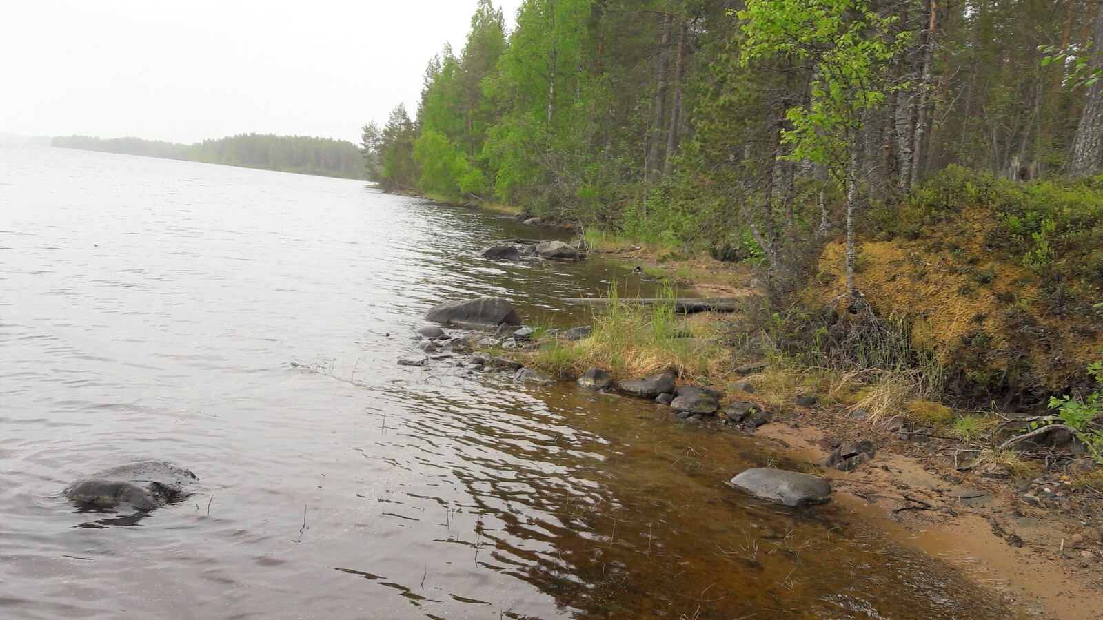 Kesäinen metsä reunustaa järveä vasemmalle kaartavassa osin hiekkaisessa ja kivisessä rantaviivassa.